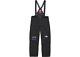 Supreme The North Face Expedition Pant Black Size L