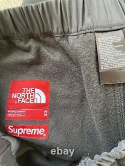 Supreme The North Face Steep Tech Fleece Medium Denali Pants